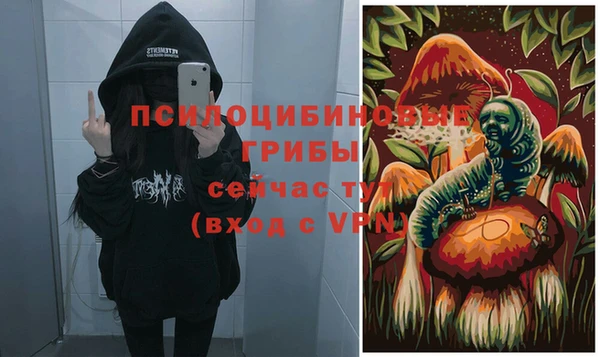 тгк Алзамай