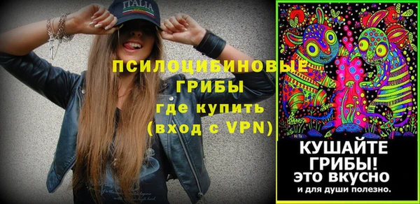 spice Протвино
