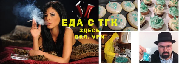 тгк Алзамай