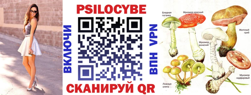 Псилоцибиновые грибы мухоморы  Дудинка 